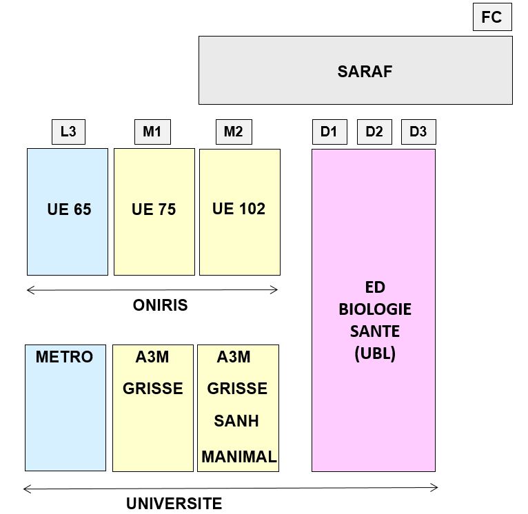 enseignement.JPG