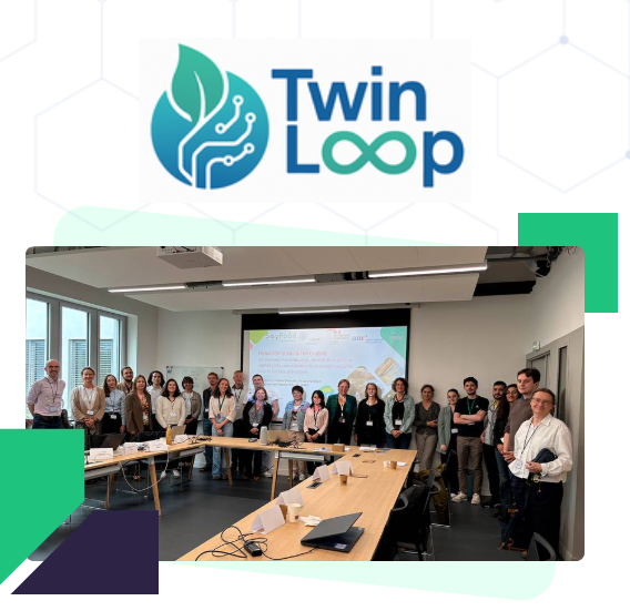 logo_twinloop